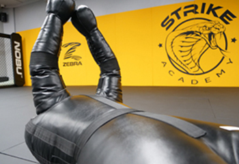 strike academy